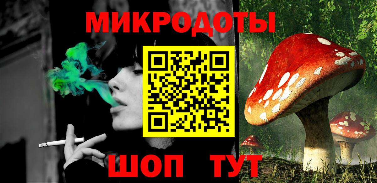 Галлюциногенные грибы Psilocybe Минусинск