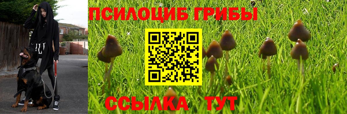 Минусинск  Галлюциногенные грибы Magic Shrooms  как найти закладки  Псилоцибиновые грибы Magic Shrooms  Вход с VPN 
